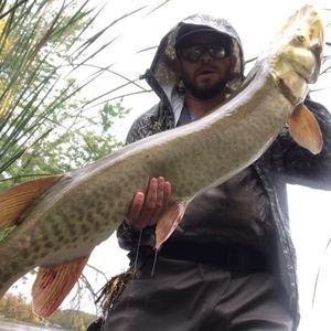 Meet your Posher, Chris